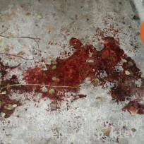 15726964_745044465661449_5831224062844024040_n