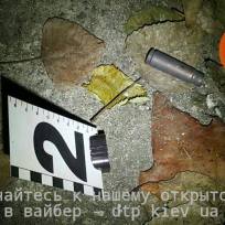 15726593_745073408991888_2887688368805864431_n