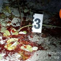 15726283_745073368991892_5436373313338256899_n