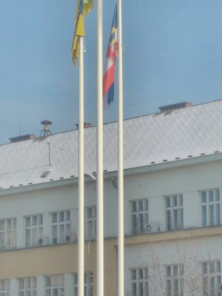 15726563_692990334212815_2078481366782270550_n dqxikeidqxidqeant