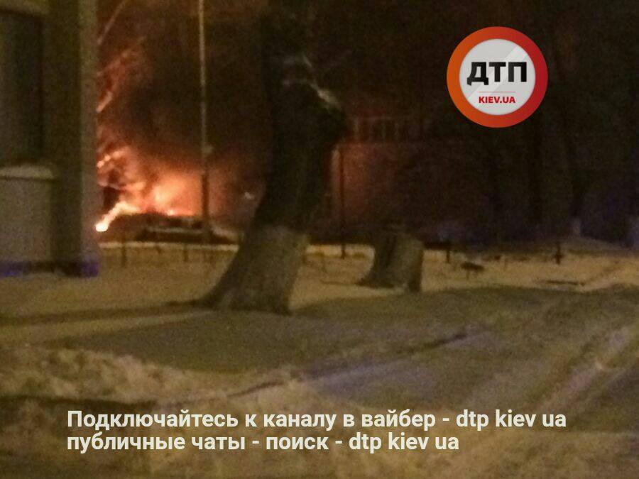 15894991_749991428500086_2383536645421675735_n dqxikeidqxidqrant