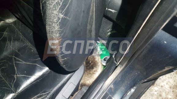 im578xAny-photo_2017-02-10_00-25-03