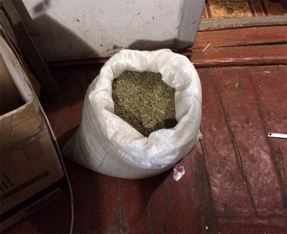 В Кропивницком у местного жителя обнаружили марихуаны почти на 2 млн гривен - 35575 В Кропивницком у местного жителя обнаружили марихуаны почти на 2 млн гривен - фото 35575