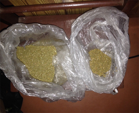 В Кропивницком у местного жителя обнаружили марихуаны почти на 2 млн гривен - 35576 В Кропивницком у местного жителя обнаружили марихуаны почти на 2 млн гривен - фото 35576