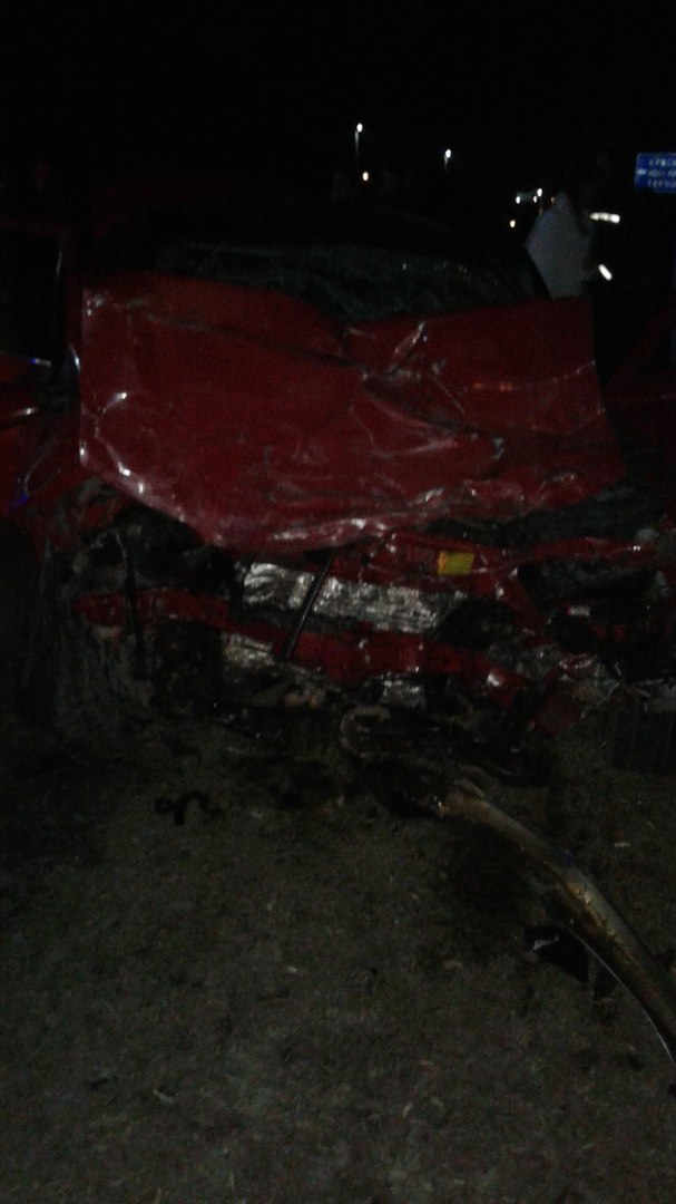 5YRqVCNGjbw dqxikeidqxidqrant