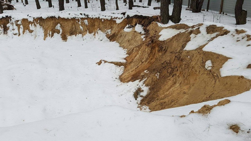 17212211_1496174370416488_1097506728057146795_o dqxikeidqxidqrant