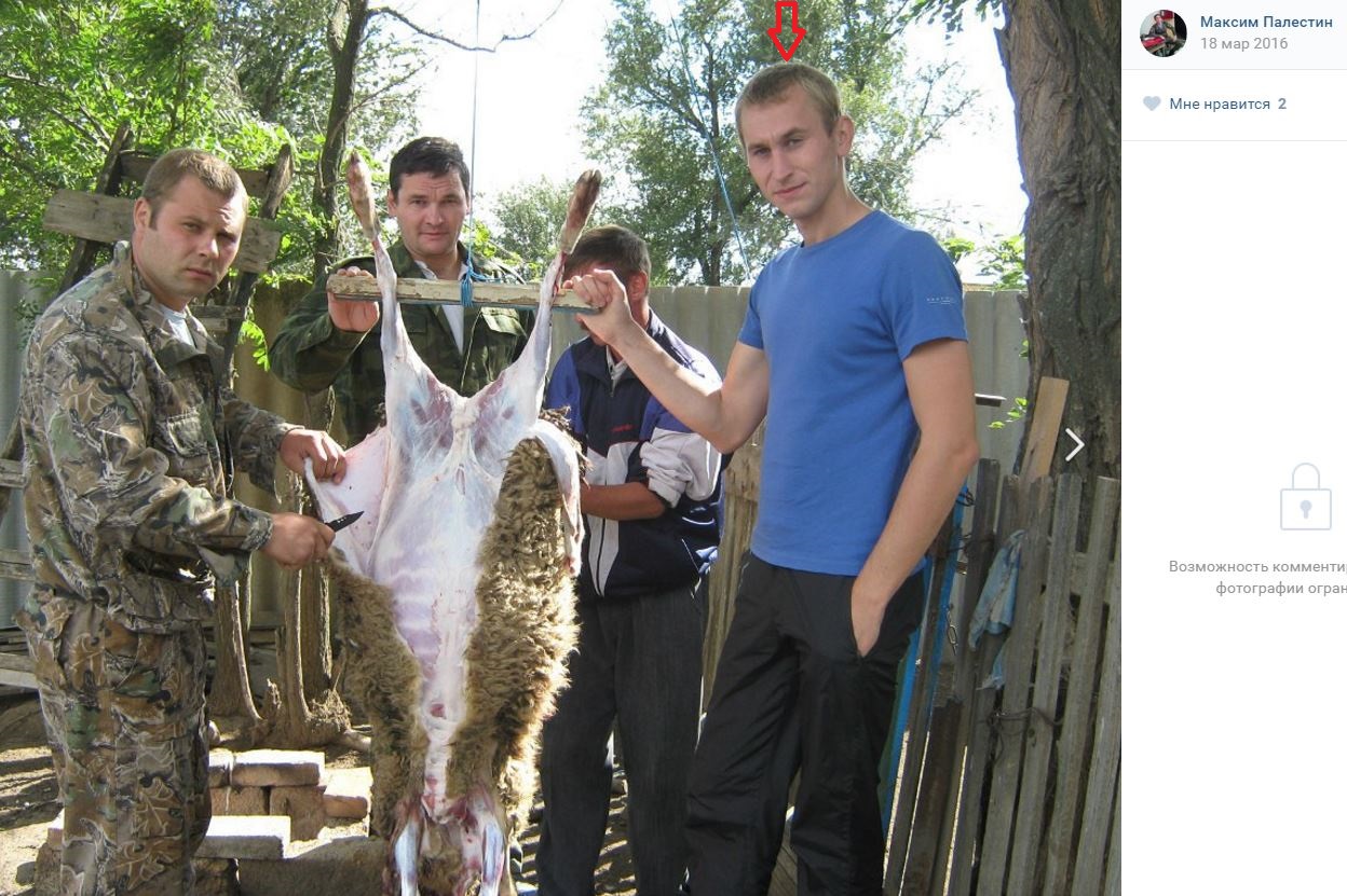 original (2).jpg original (2).jpg