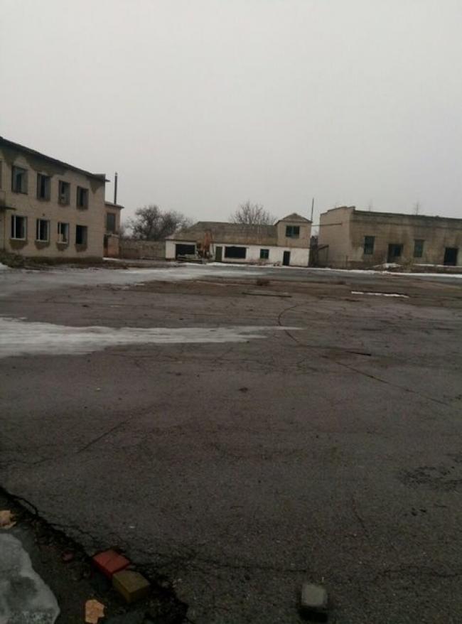  , ,  , , ,Begemot dqxikeidqxidqrant