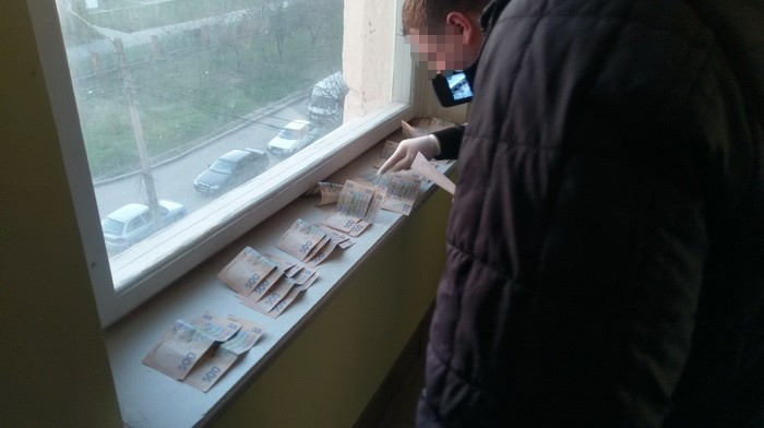 11 dqxikeidqxidqeant