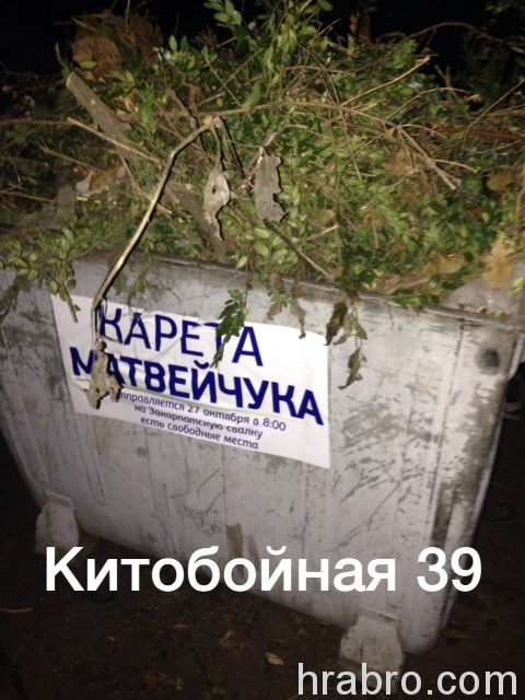 Увеличить image4