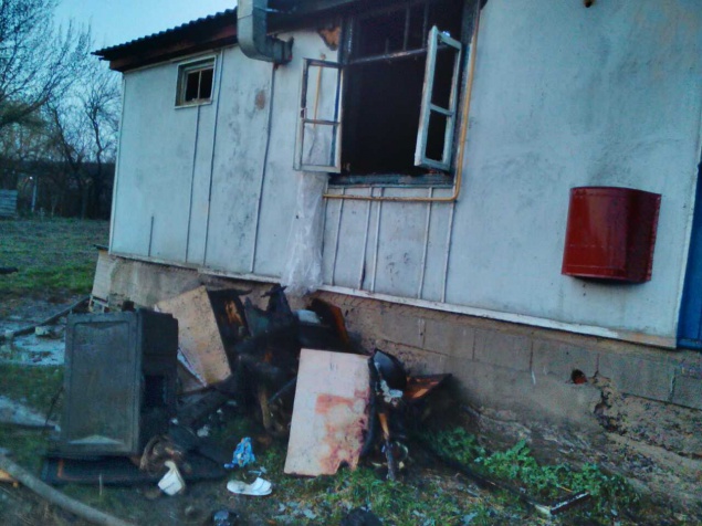 thumb_hXKm5xYK.jpg dqxikeidqxidqeant