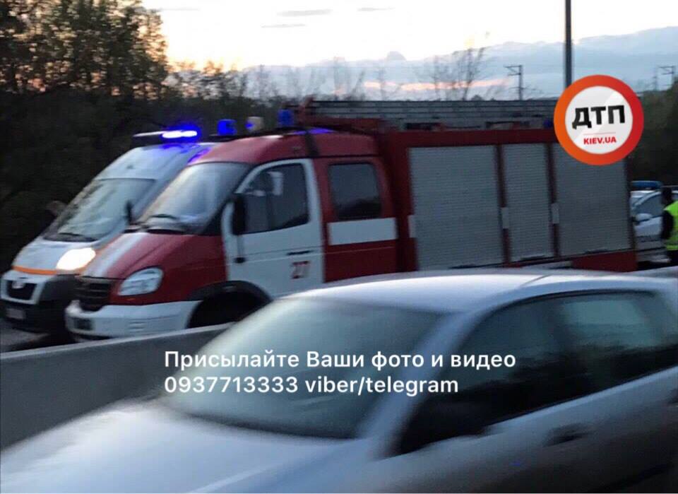 18010586_805228559643039_5348527427758633583_n