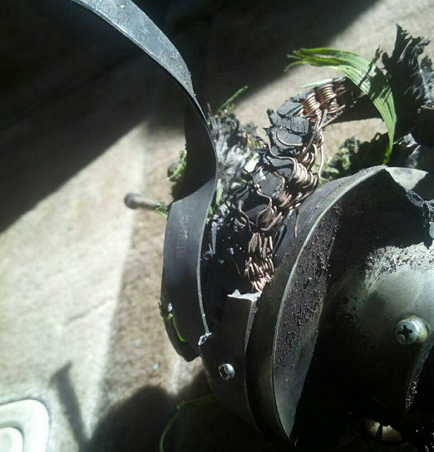 n_3268_17658696 dqxikeidqxidqeant