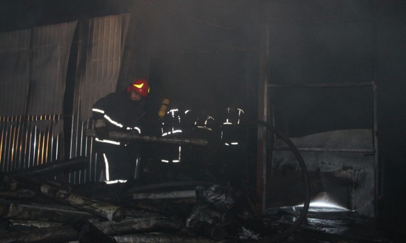 294880 dqxikeidqxidqrant