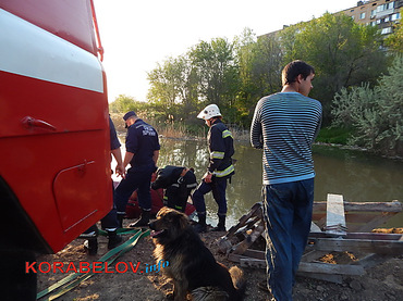 В Николаеве девушка-водитель на «Славуте» упала в «озеро» с канализационными стоками - Copyright https://news.pn