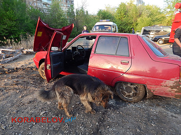 В Николаеве девушка-водитель на «Славуте» упала в «озеро» с канализационными стоками - Copyright https://news.pn