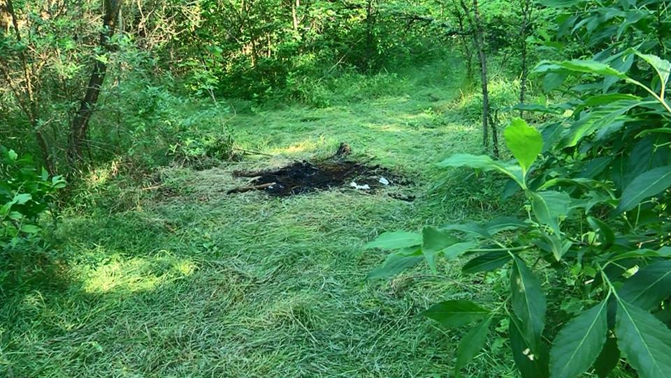 18698136_1477255465658204_4322904277847136281_n dqxikeidqxidqeant