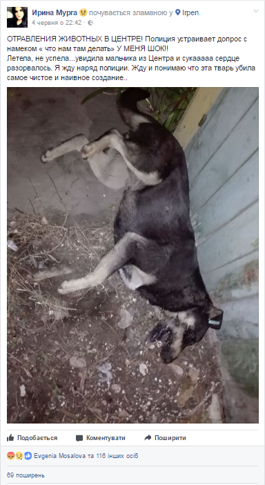 alt dqxikeidqxidqrant