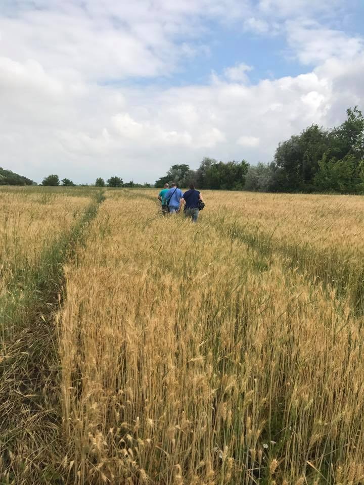 19399878_1569248909813853_6384222993364398735_n dqxikeidqxidqeant