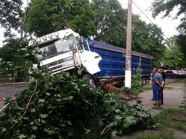 В Николаеве водитель фуры умер во время движения – грузовик остановило дерево - Copyright https://news.pn dqxikeidqxidqrant