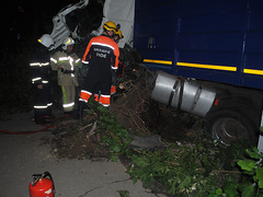 В Николаеве водитель фуры умер во время движения – грузовик остановило дерево - Copyright https://news.pn