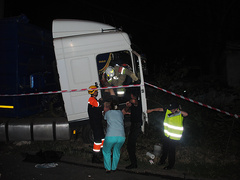 В Николаеве водитель фуры умер во время движения – грузовик остановило дерево - Copyright https://news.pn