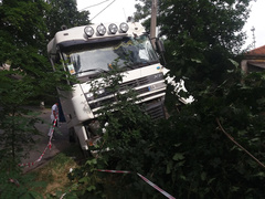В Николаеве водитель фуры умер во время движения – грузовик остановило дерево - Copyright https://news.pn