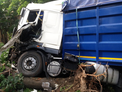 В Николаеве водитель фуры умер во время движения – грузовик остановило дерево - Copyright https://news.pn