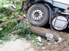 В Николаеве водитель фуры умер во время движения – грузовик остановило дерево - Copyright https://news.pn