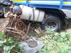 В Николаеве водитель фуры умер во время движения – грузовик остановило дерево - Copyright https://news.pn