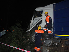 В Николаеве водитель фуры умер во время движения – грузовик остановило дерево - Copyright https://news.pn