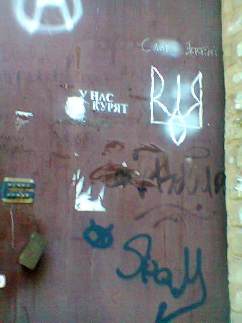 Світлина від Олени Воронянської. dqxikeidqxidqrant