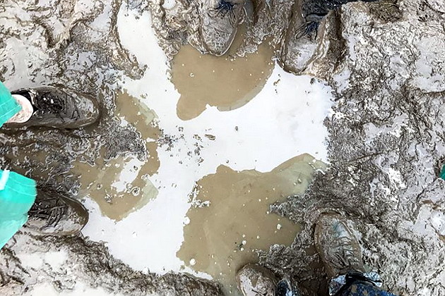 Фестиваль "НАШЕствие" утонул в грязи