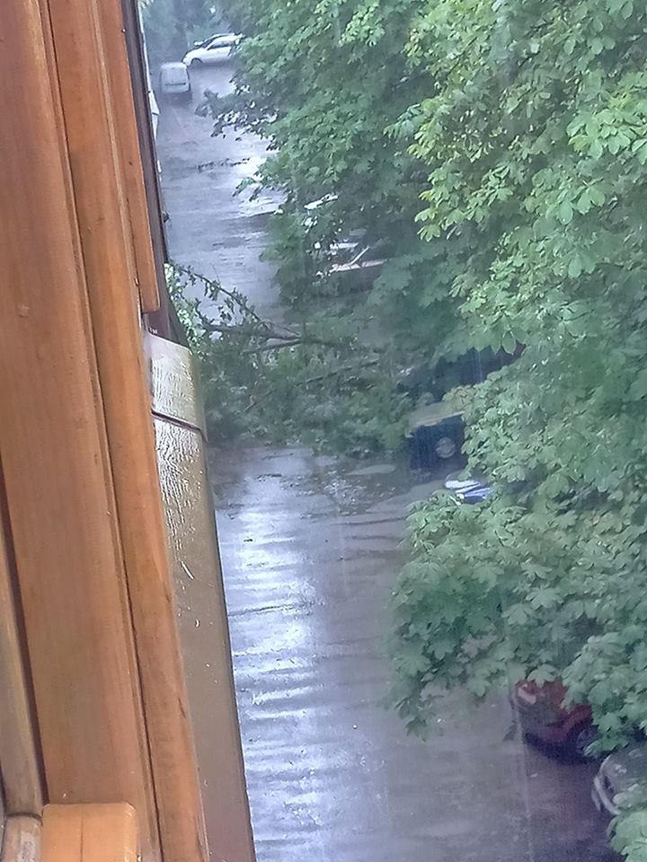 Світлина від Sophia Os.