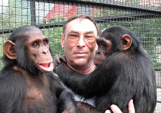 в dqxikeidqxidqeant