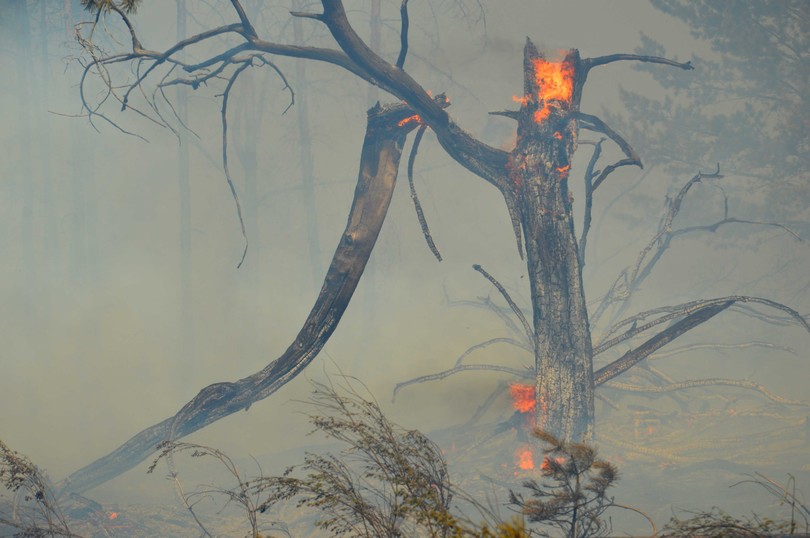 Пожар в районе поселка Гвардейское - 59098 Пожар в районе поселка Гвардейское - фото 59098