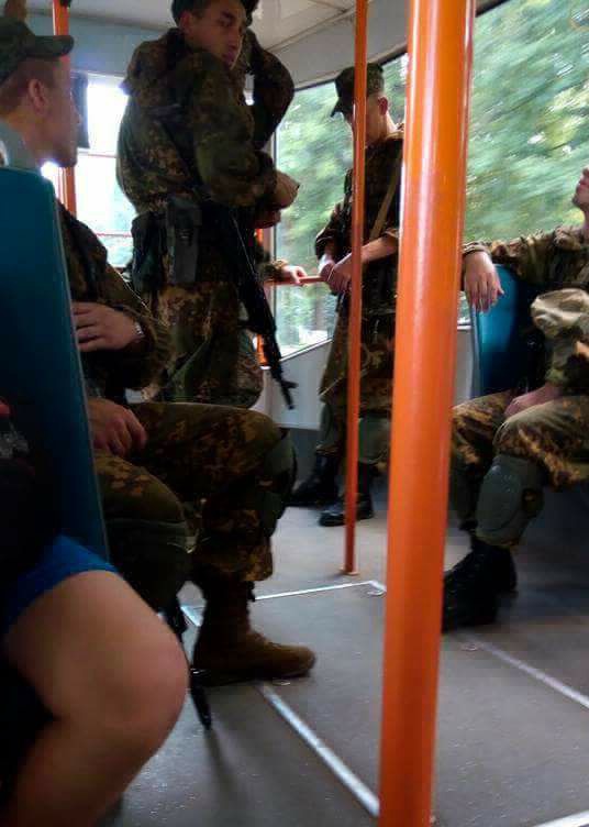 зелчел0.jpg dqxikeidqxidqeant