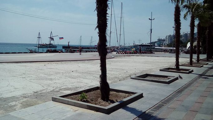 View image on Twitter