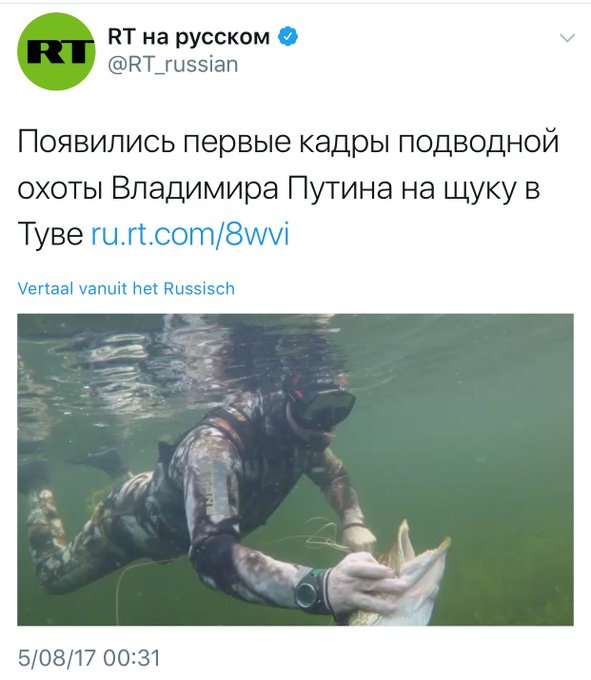 View image on Twitter