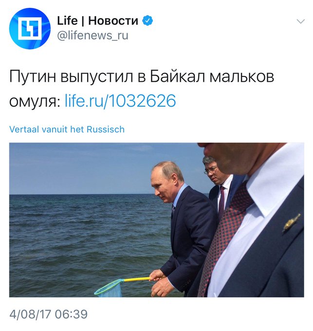 View image on Twitter