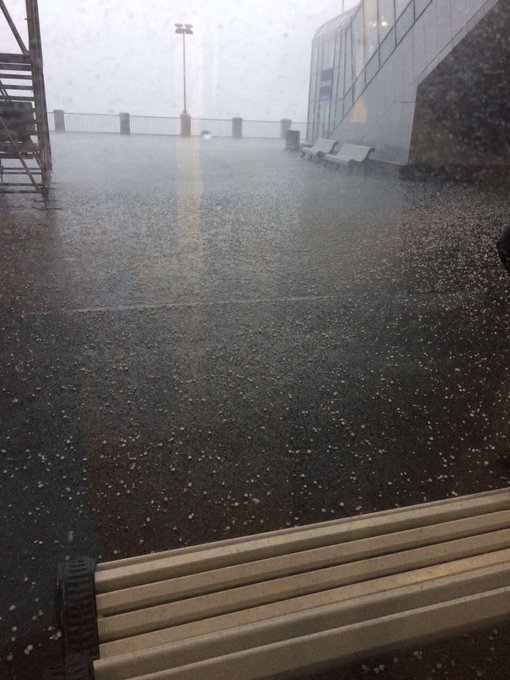 Посмотреть изображение в Твиттере Посмотреть изображение в Твиттере dqxikeidqxidqrant