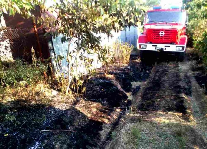 555_06 dqxikeidqxidqeant