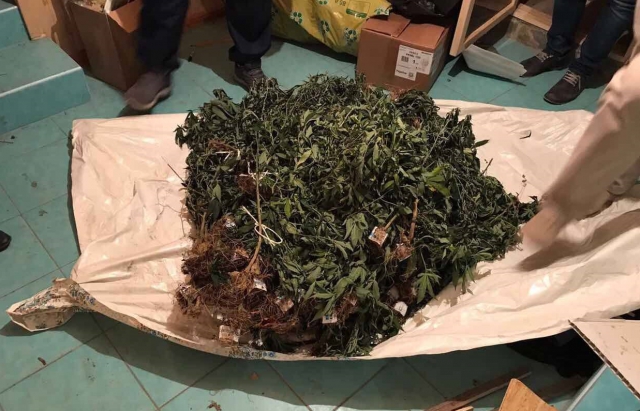 Обшук у поліції Виноградова: Затримано правоохоронця, який за $50 тис. обіцяв приховати наркозлочин (ФОТО)