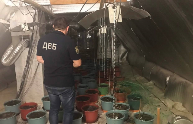 Обшук у поліції Виноградова: Затримано правоохоронця, який за $50 тис. обіцяв приховати наркозлочин (ФОТО)