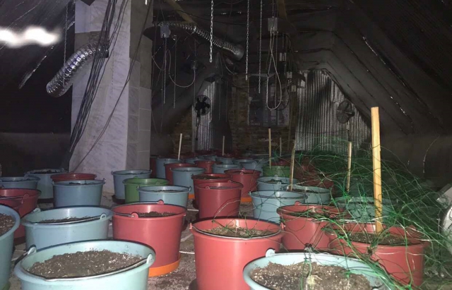 Обшук у поліції Виноградова: Затримано правоохоронця, який за $50 тис. обіцяв приховати наркозлочин (ФОТО)