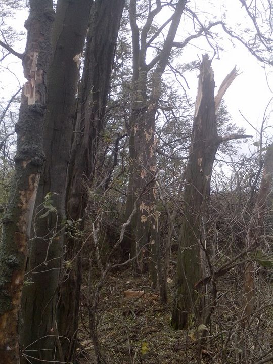 54-й ОРБ. Курорт в приморье