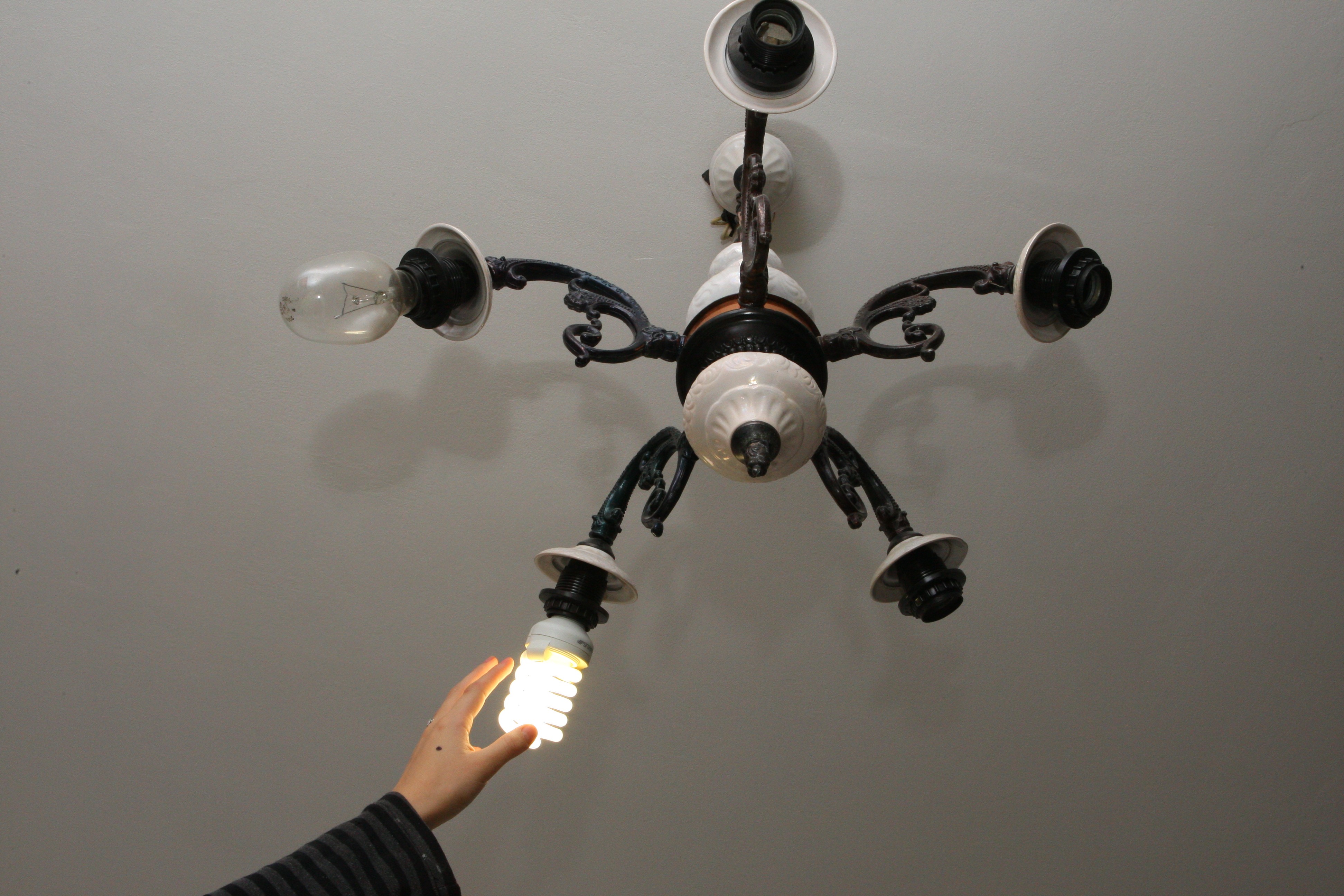 1237361 dqxikeidqxidqrant