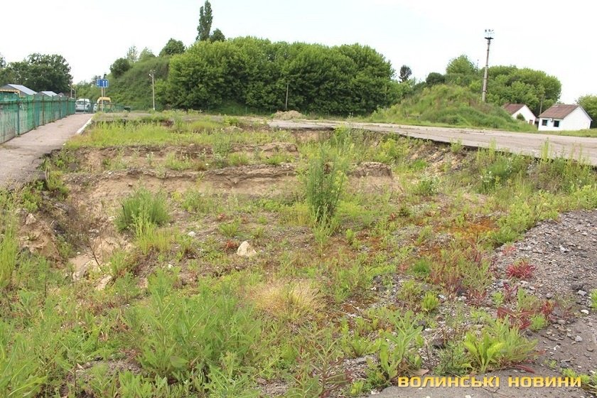 .jpg dqxikeidqxidqrant