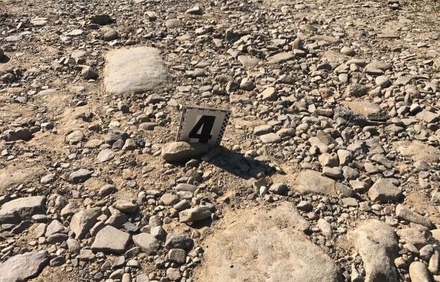 Бандитські розбірки на Закарпатті: чоловіка розстріляли прямо в авто, вбивцю затримано (ФОТО)