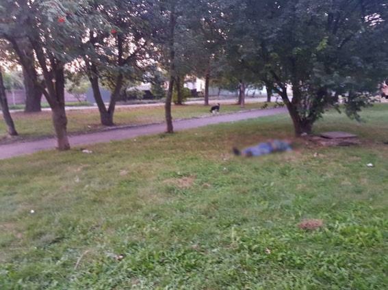 20953639_883088645190709_7912761785255893599_n dqxikeidqxidqeant